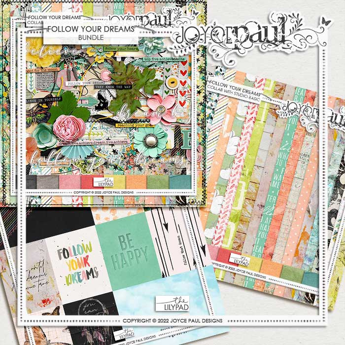 Follow Your Dreams - Bundle
