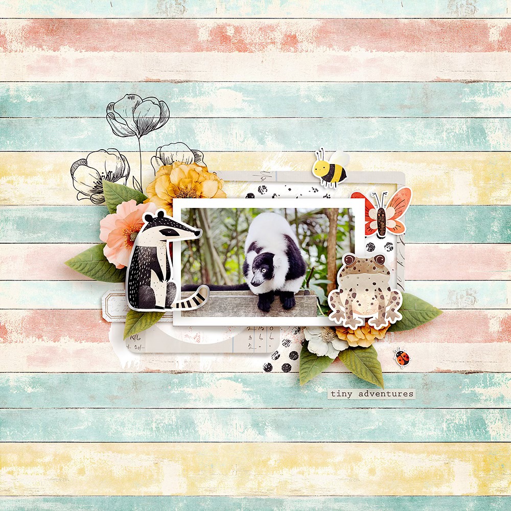 Petal & Pawprints | Bundle by Joyce Paul - Image 3