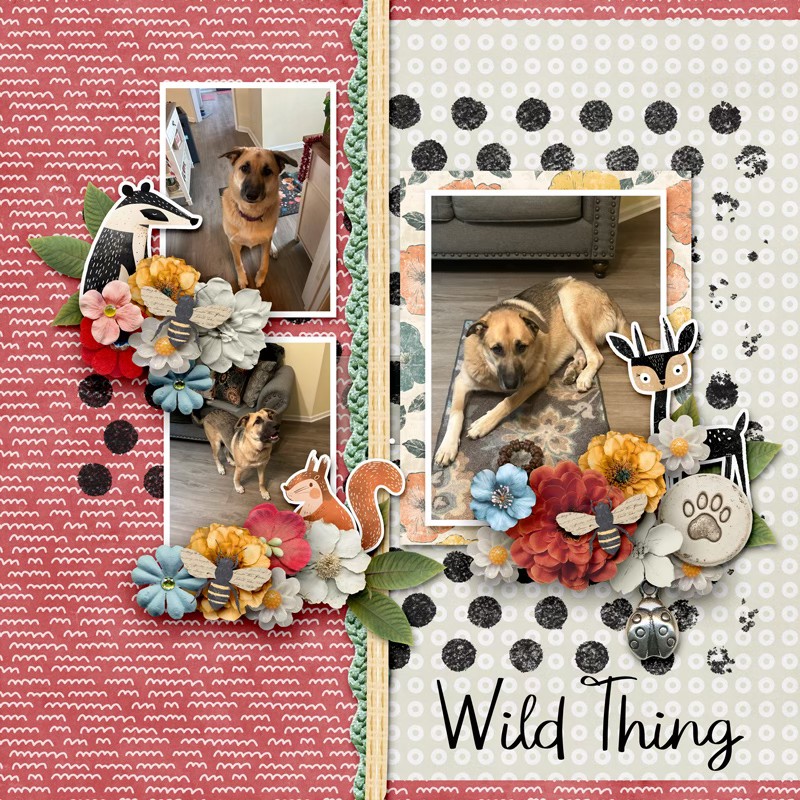 Petal & Pawprints | Bundle by Joyce Paul - Image 4