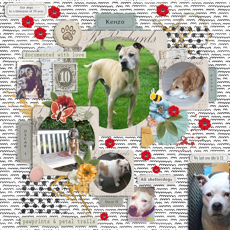 Petal & Pawprints | Bundle by Joyce Paul - Image 6