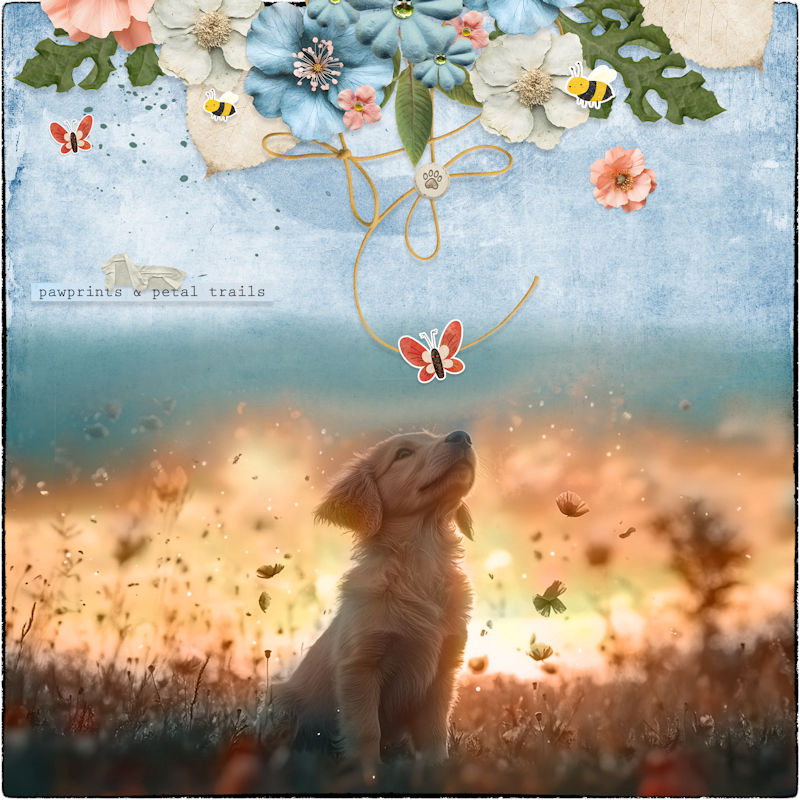 Petal & Pawprints | Bundle by Joyce Paul - Image 7