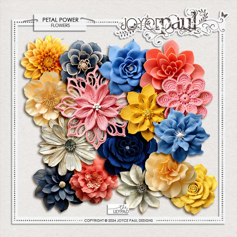 Petal Power - Flowers by Joyce Paul