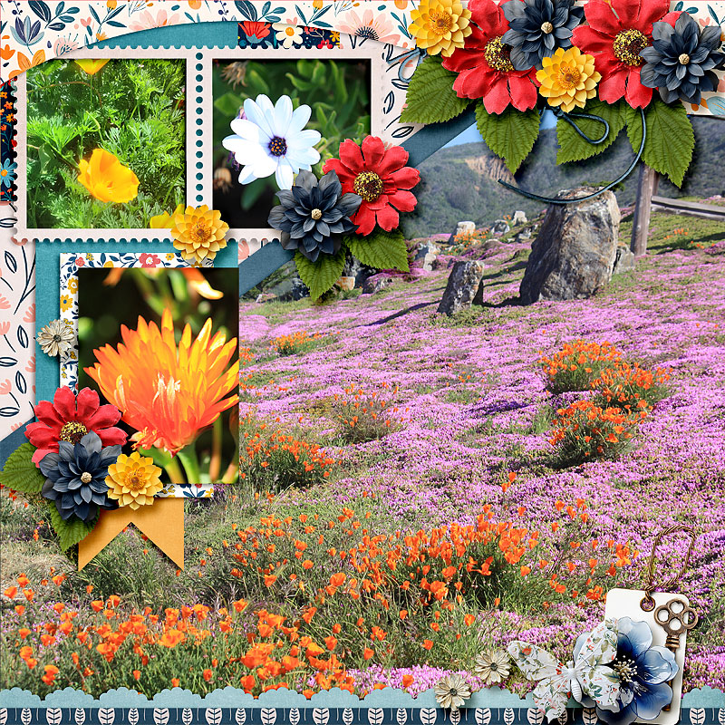 Petal Power - iNSD GRABBAG - Image 10