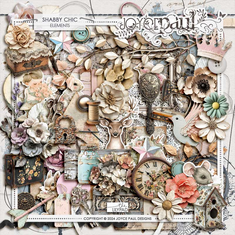 Shabby Chic - Bundle by Joyce Paul - Image 5