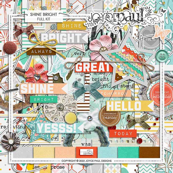 Shine Bright - Bundle - Image 4