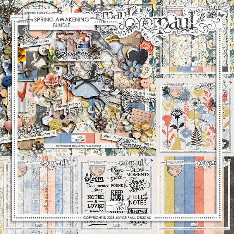 Spring Awakening | Bundle by Joyce Paul Designs