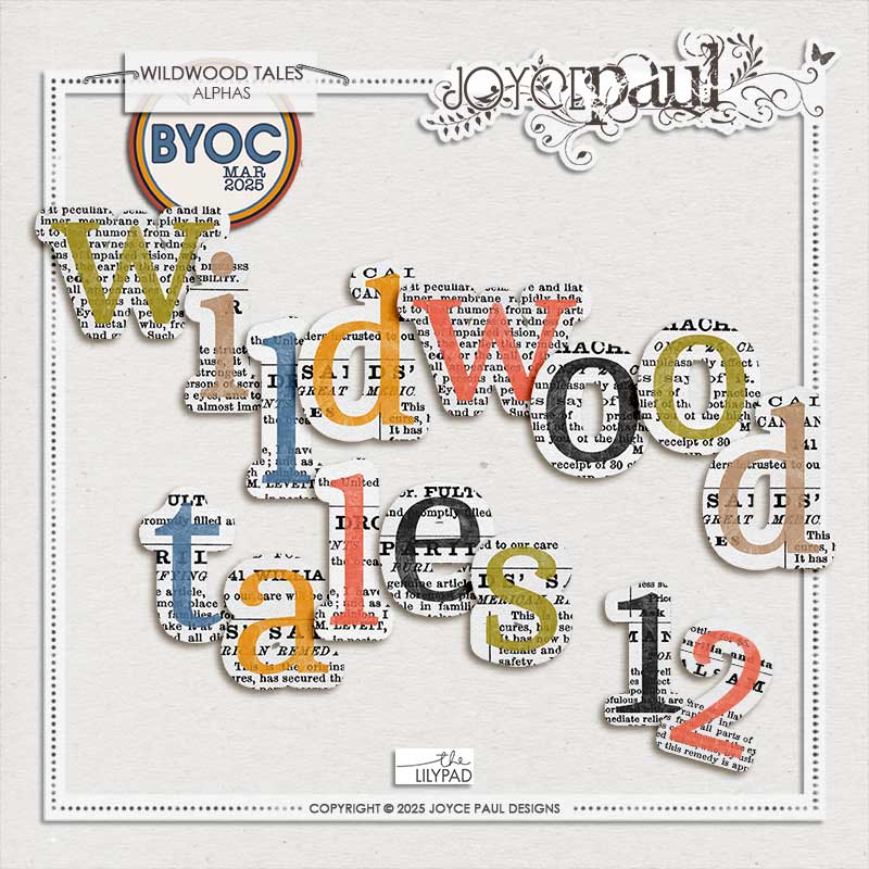 Wildwood Tales | Bundle - Image 2