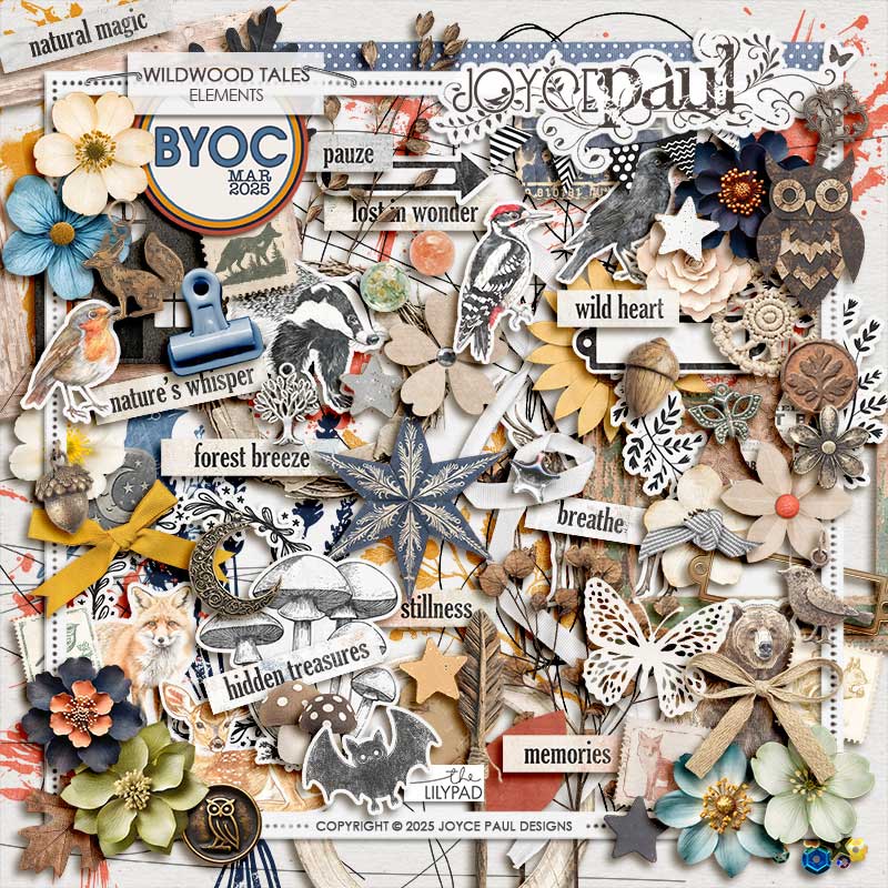 Wildwood Tales | Kit - Image 2