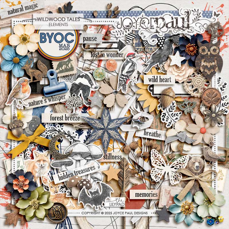 Wildwood Tales | Bundle - Image 4