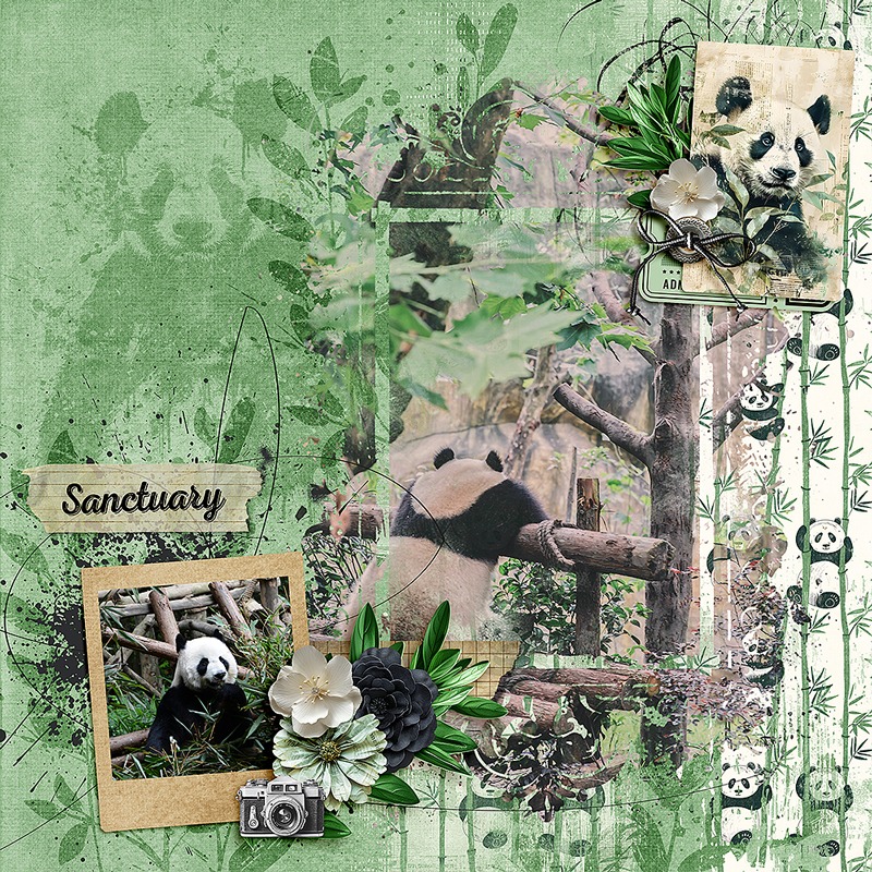 Zoo Time - Bundle by Joyce Paul - Image 3