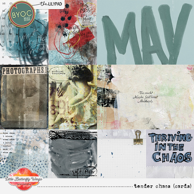 Tender Chaos (cards) by Little Butterfly Wings