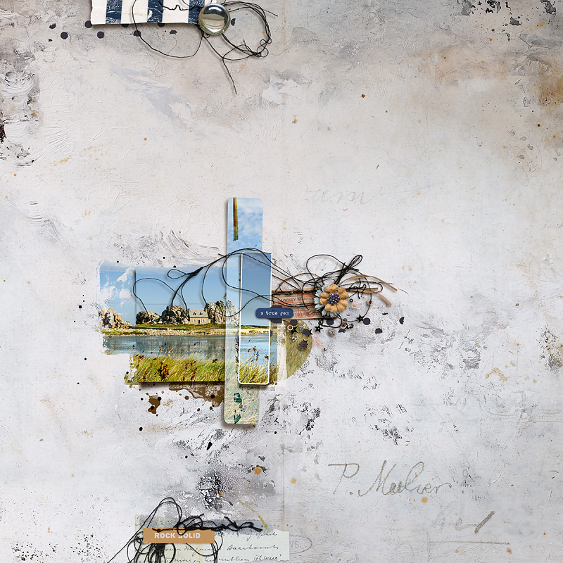 Thallus | The Complete Mixed Media Collection - Image 8