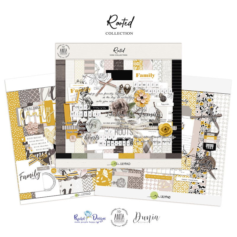 Rooted | Collection