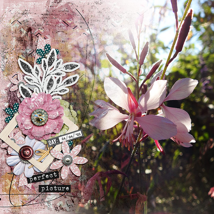 Memories - Bundle - Image 5