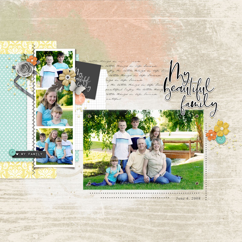 Mi Vida | Templates - Image 4