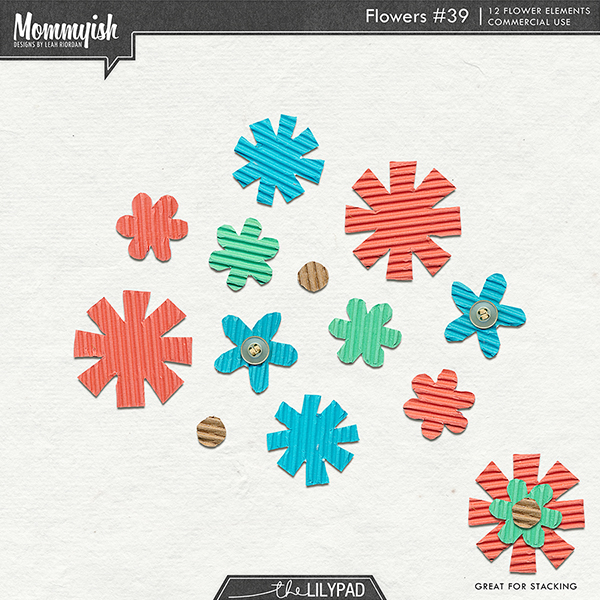 CU - Flowers #39