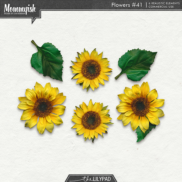 CU - Flowers #41