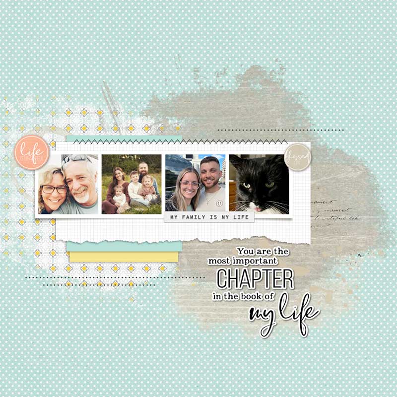 Mi Vida | Templates - Image 6
