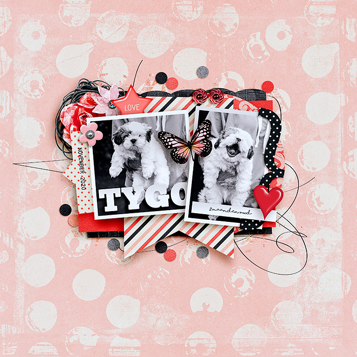 My Crush - Bundle - Image 6