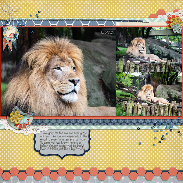Ordinary Day Paper Pack - Image 7