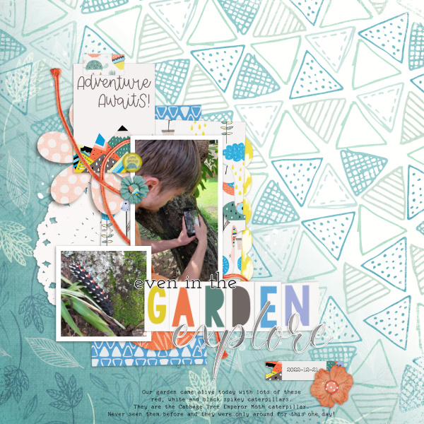 Olive & Beau Tiny Notecards - Image 10