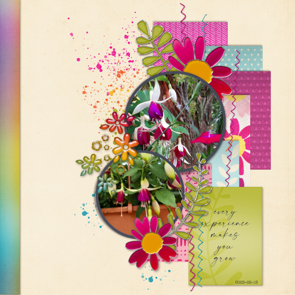 Boysenberry Tiny Notecards - Image 9