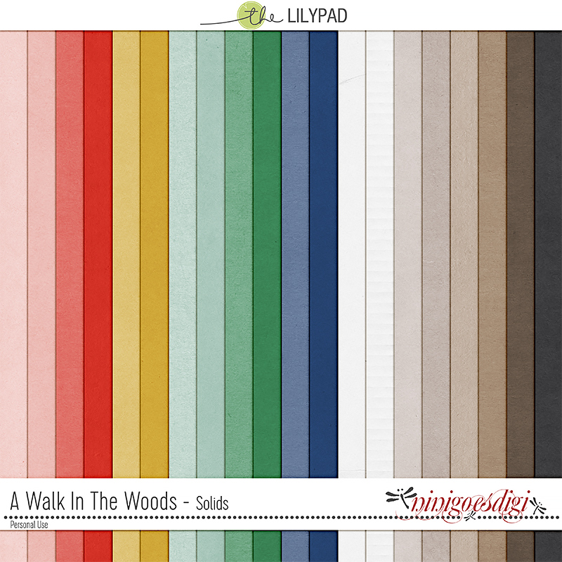 A Walk In the Woods | Solids