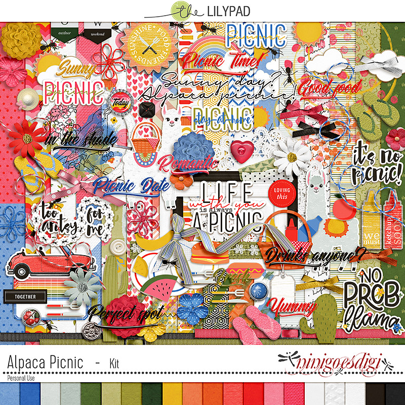 Alpaca Picnic | Kit