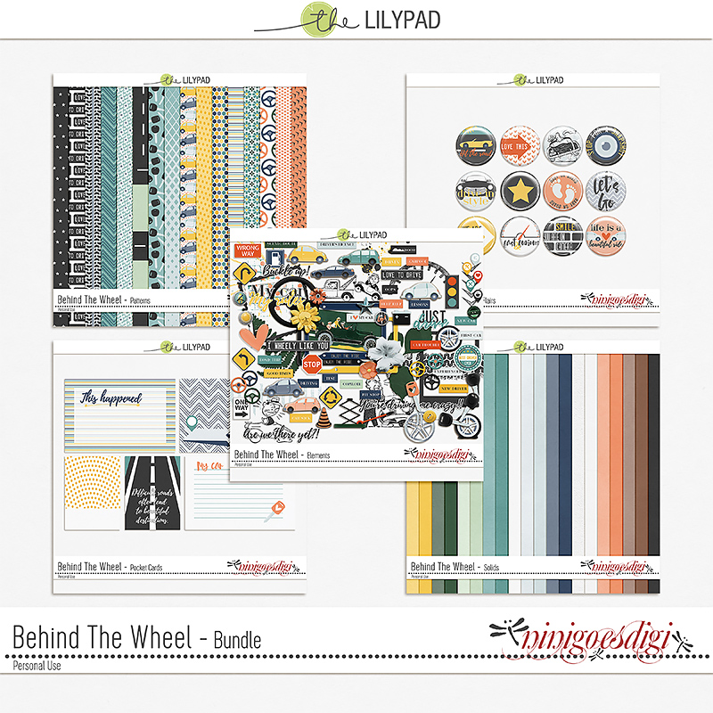 Behind The Wheel | Bundle