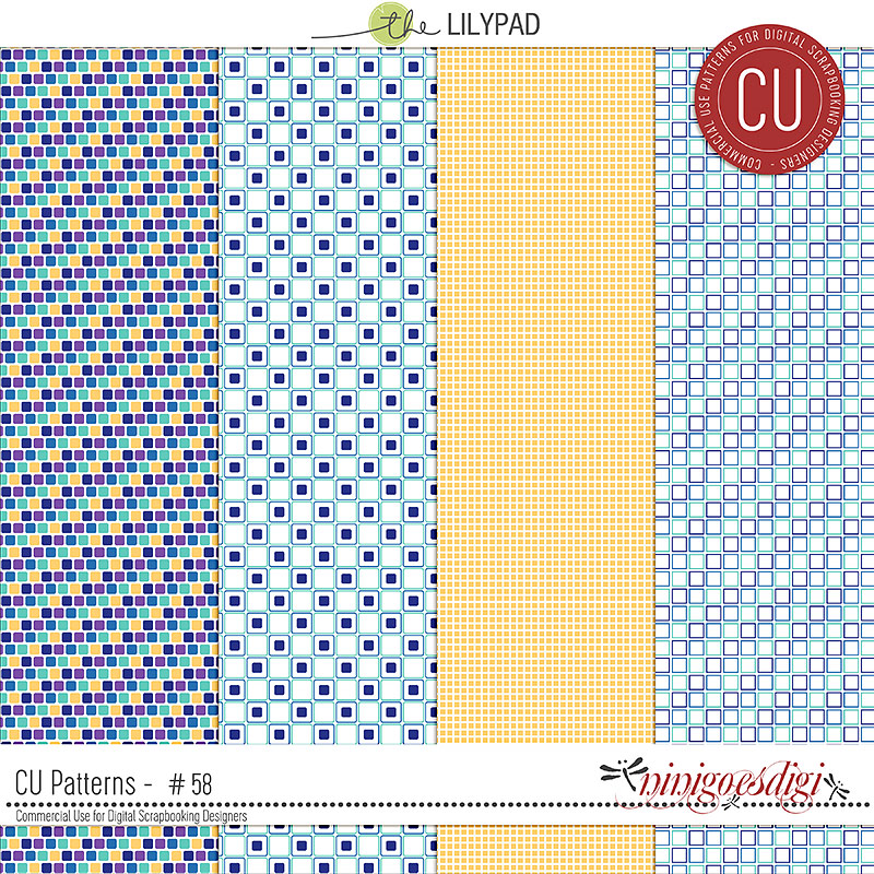 Commercial Use Patterns # 58