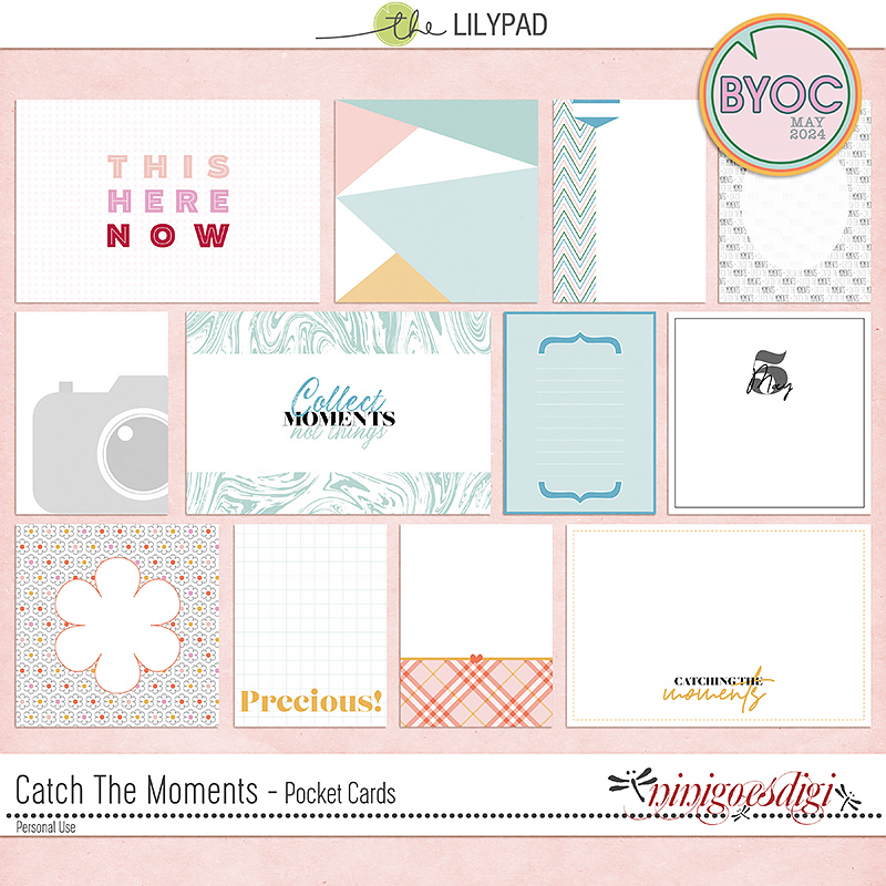 Catch The Moments | Pocket Cards