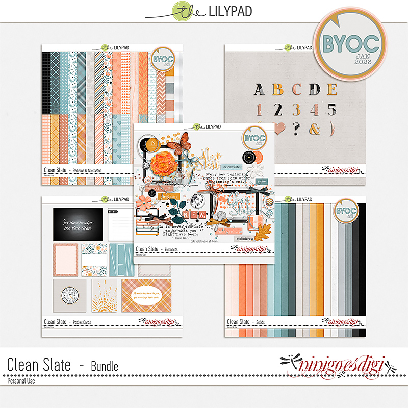 Clean Slate | Bundle
