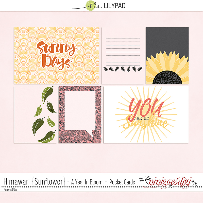 Himawari {Sunflower} | Pocket Cards