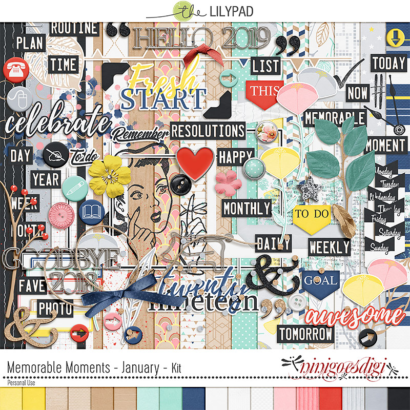 Memorable Moments - January | Kit