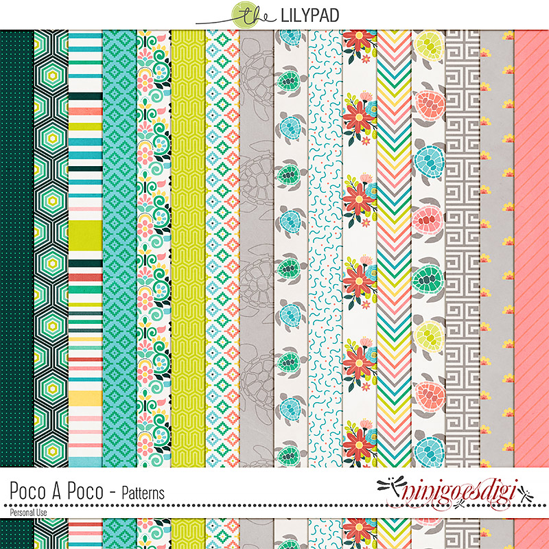 Poco A Poco | Kit - Image 3