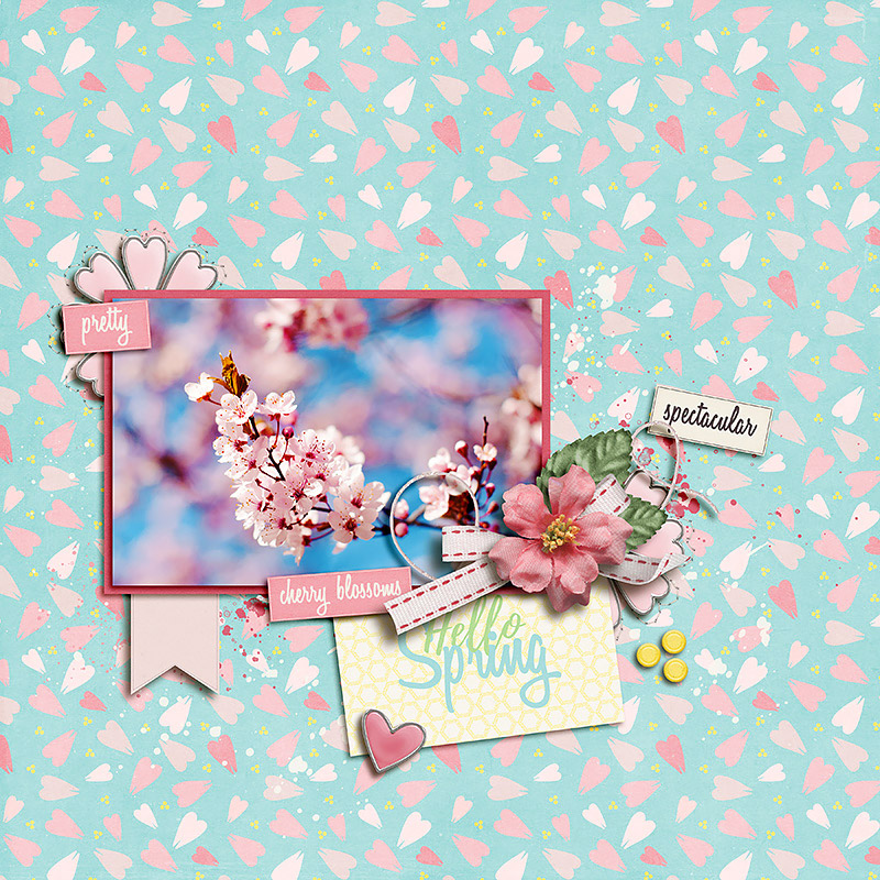 Sakura {Cherry Blossom} | Pocket Cards - Image 3