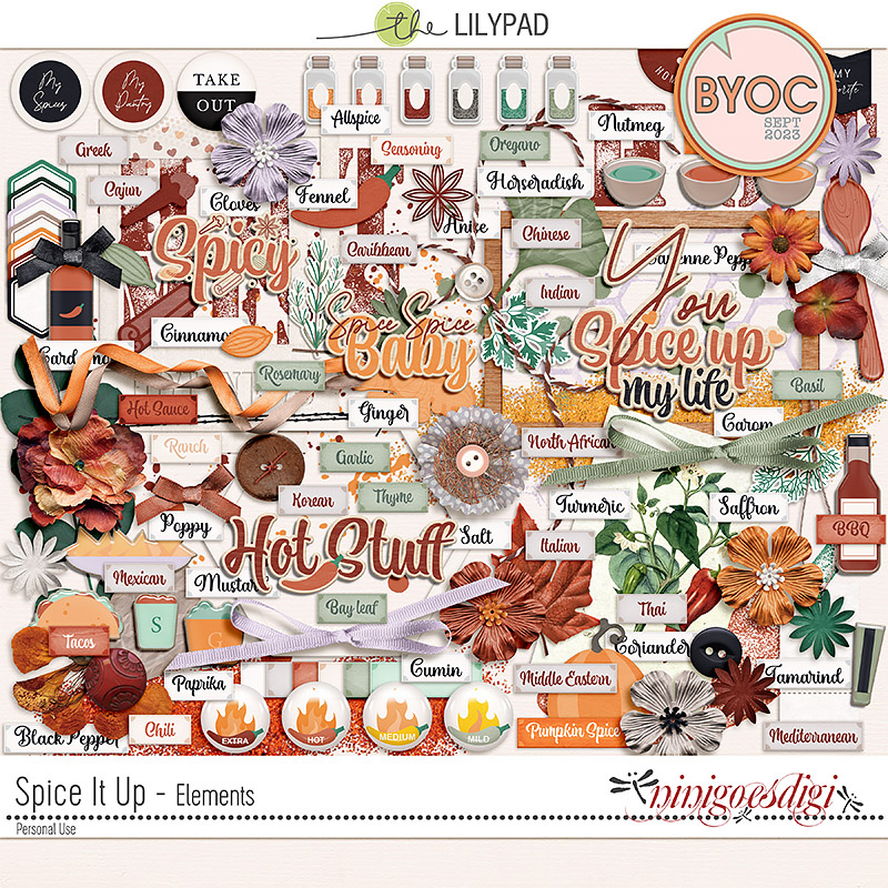 Spice It Up | Elements