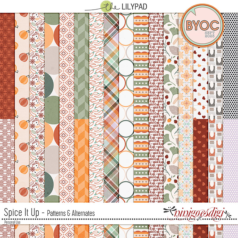 Spice It Up | Kit - Image 3