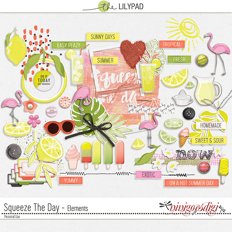 Squeeze The Day | Elements
