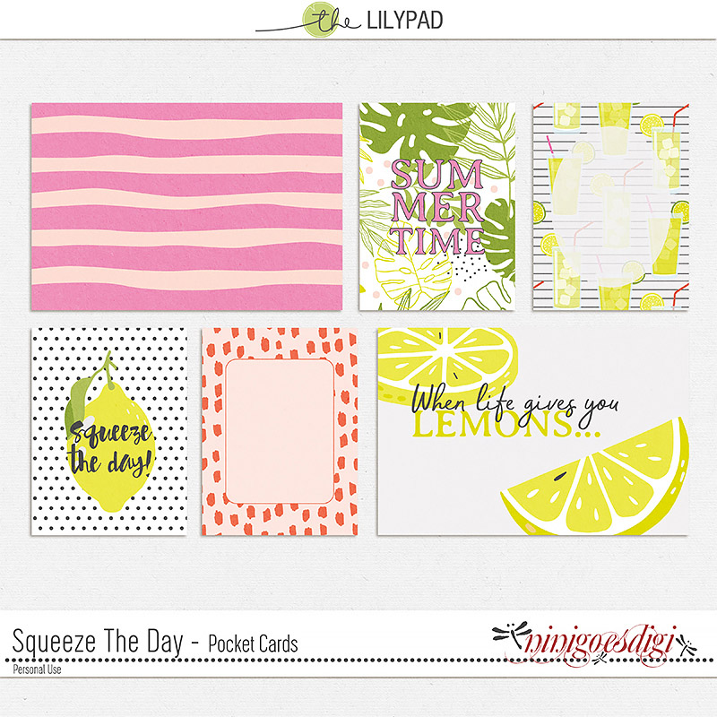 Squeeze The Day | Pocket Cards