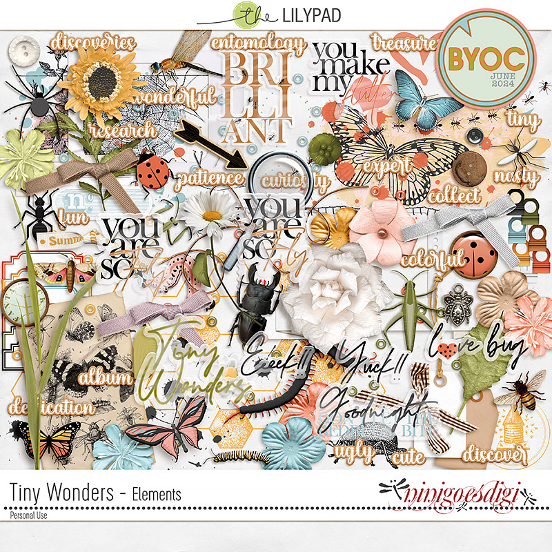 Tiny Wonders | Elements
