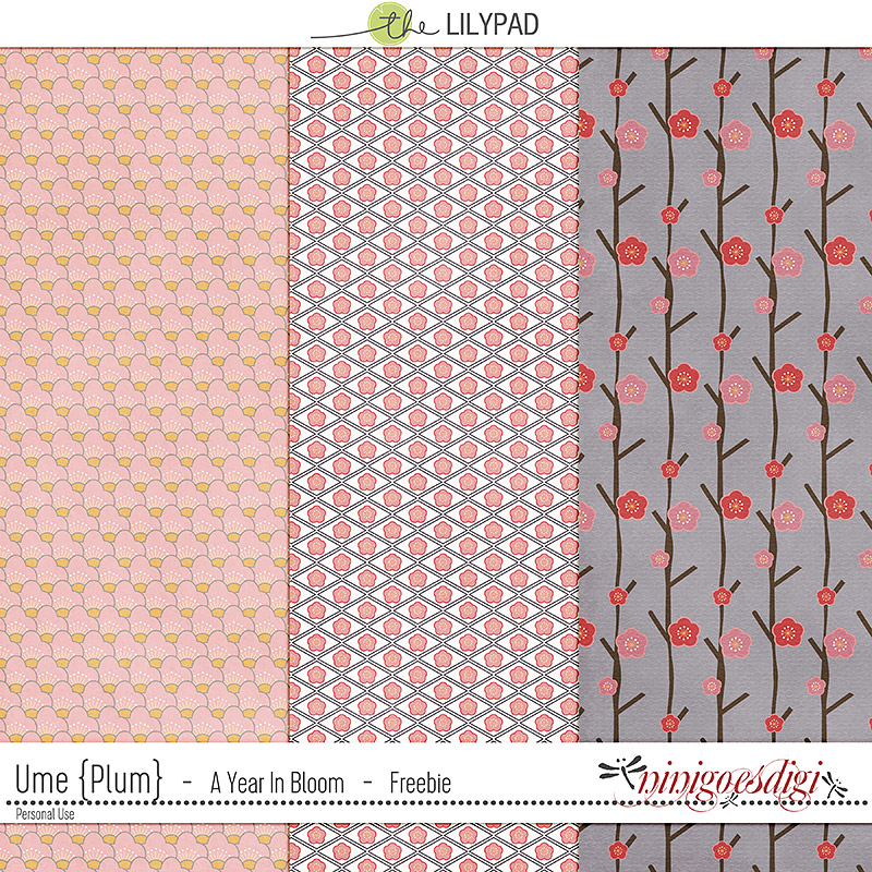 Ume {Plum} | Kit - Image 3