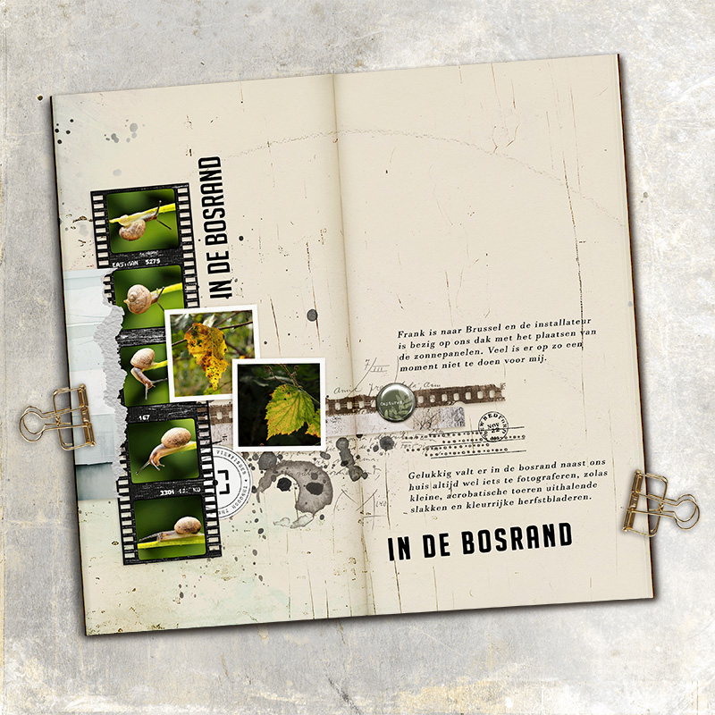 Snap | templates - Image 10