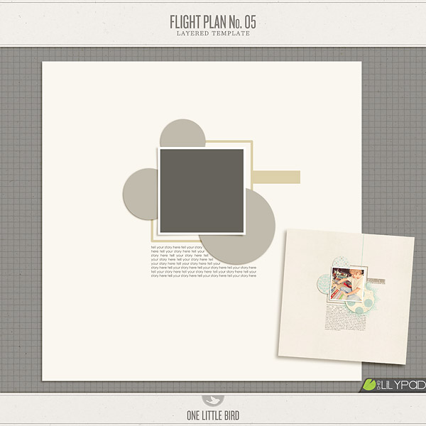 Flight Plan No. 5