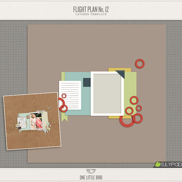 Flight Plan no. 12