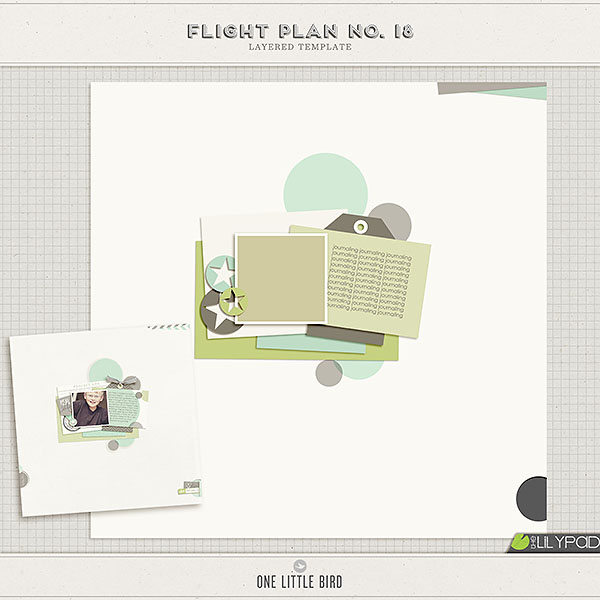 Flight Plan no. 18