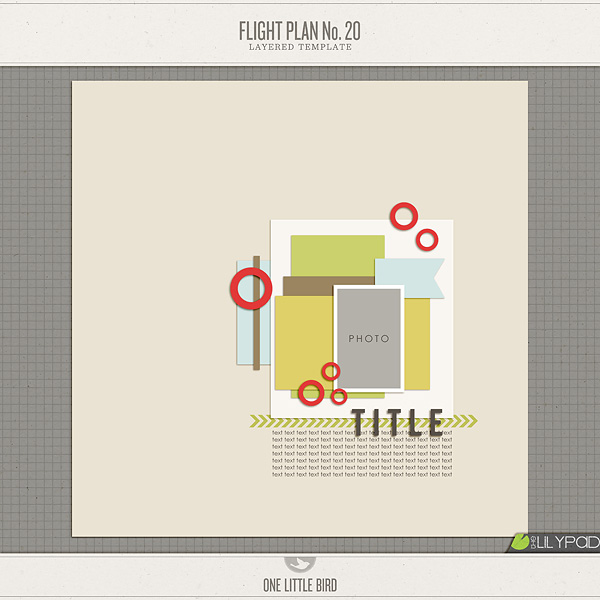 Flight Plan no. 20