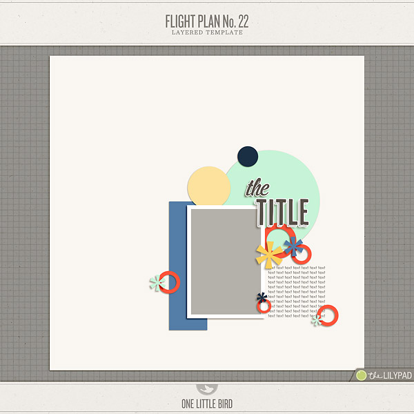 Flight Plan No. 22