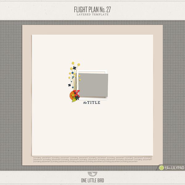 Flight Plan No. 27