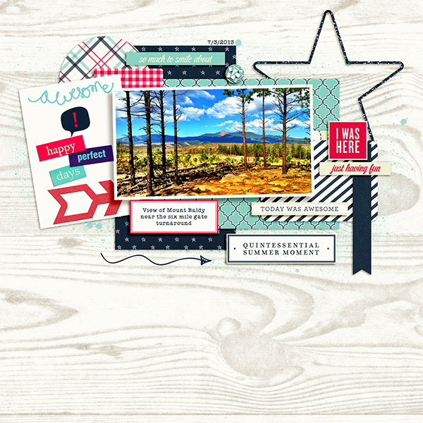 Carson Park Elements - Image 9